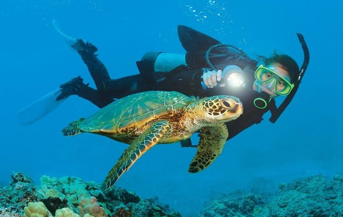 Alanya Scuba Diving and Snorkeling Trip