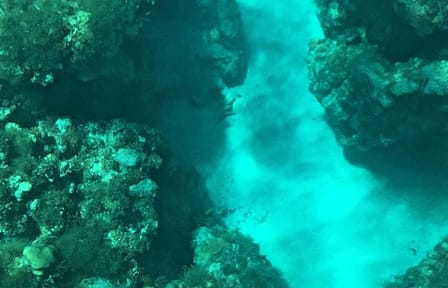 Private Glass Bottom Boat Ride in Trincomalee, Sri Lanka