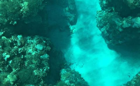 Private Glass Bottom Boat Ride in Trincomalee, Sri Lanka