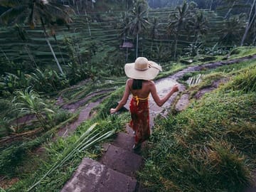 Tegalalang Rice Terrace