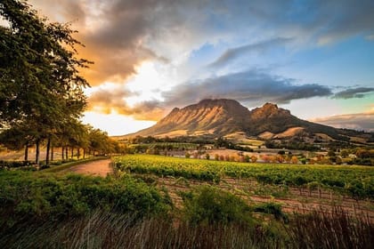 Full-Day Franschhoek Wine Tour from Cape Town