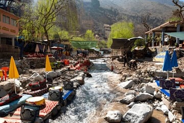 Private Day Trip to Atlas Mountains with Berber Lunch