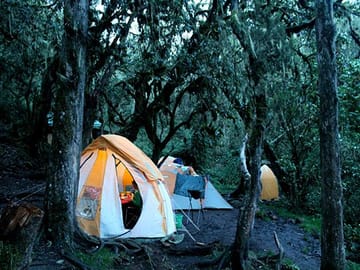 7 Day Kilimanjaro Climb – Machame route