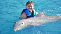 Isla Mujeres: Dolphin Royal Connection 3