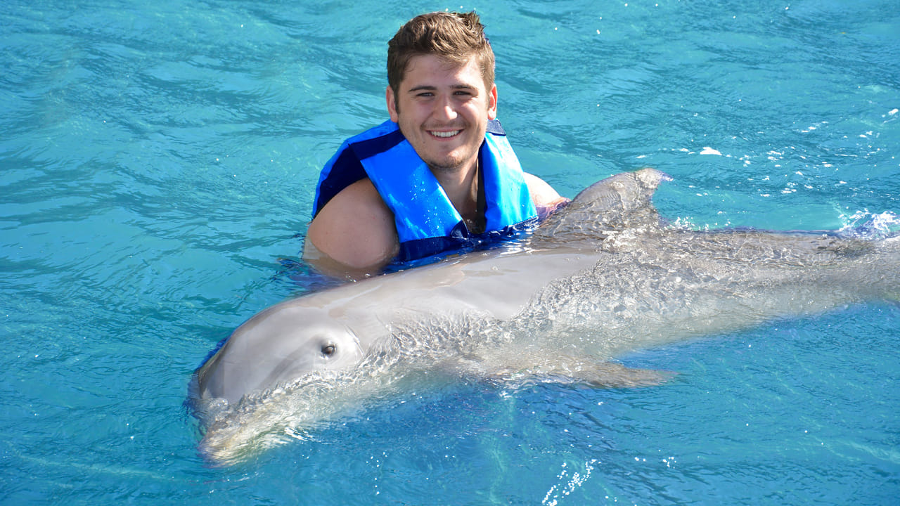 Isla Mujeres: Dolphin Royal Connection 3