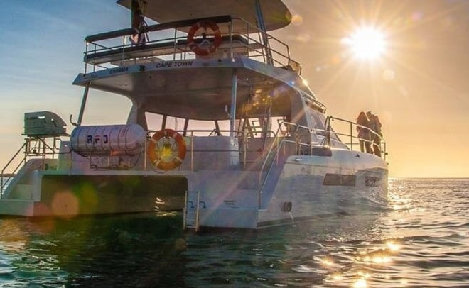 CAPE TOWN :1.5 HOUR LUXURY SUNSET CRUISE WITH PROSECCO - Photo 4