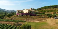Apperitif Winery Experience - Wine Tasting Tour 4