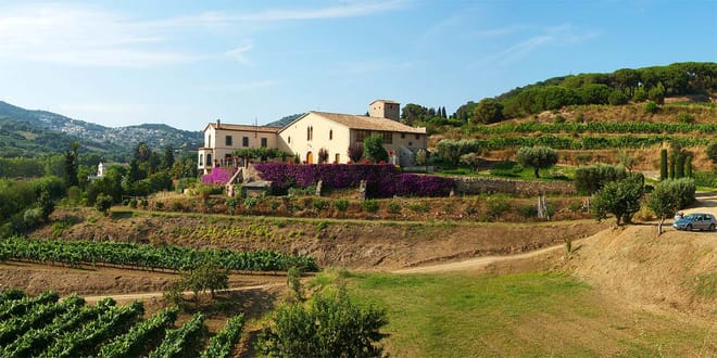 Apperitif Winery Experience - Wine Tasting Tour photo 4