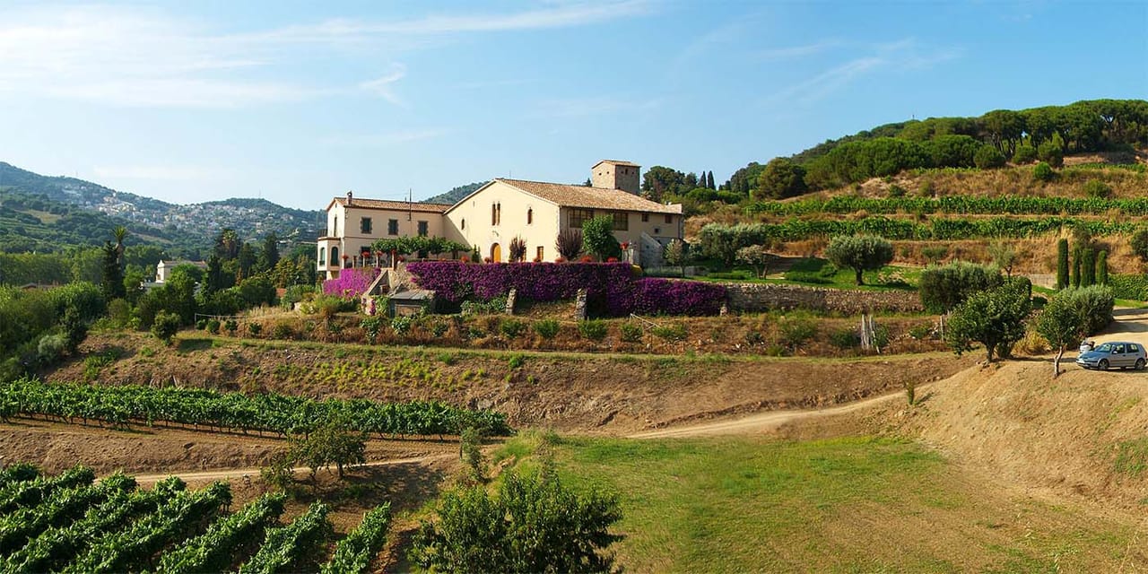 Apperitif Winery Experience - Wine Tasting Tour 4