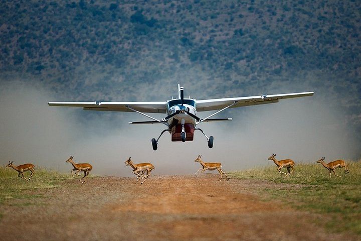 Private Flying Safari in Masai Mara with Game Drives & Cultural Experience