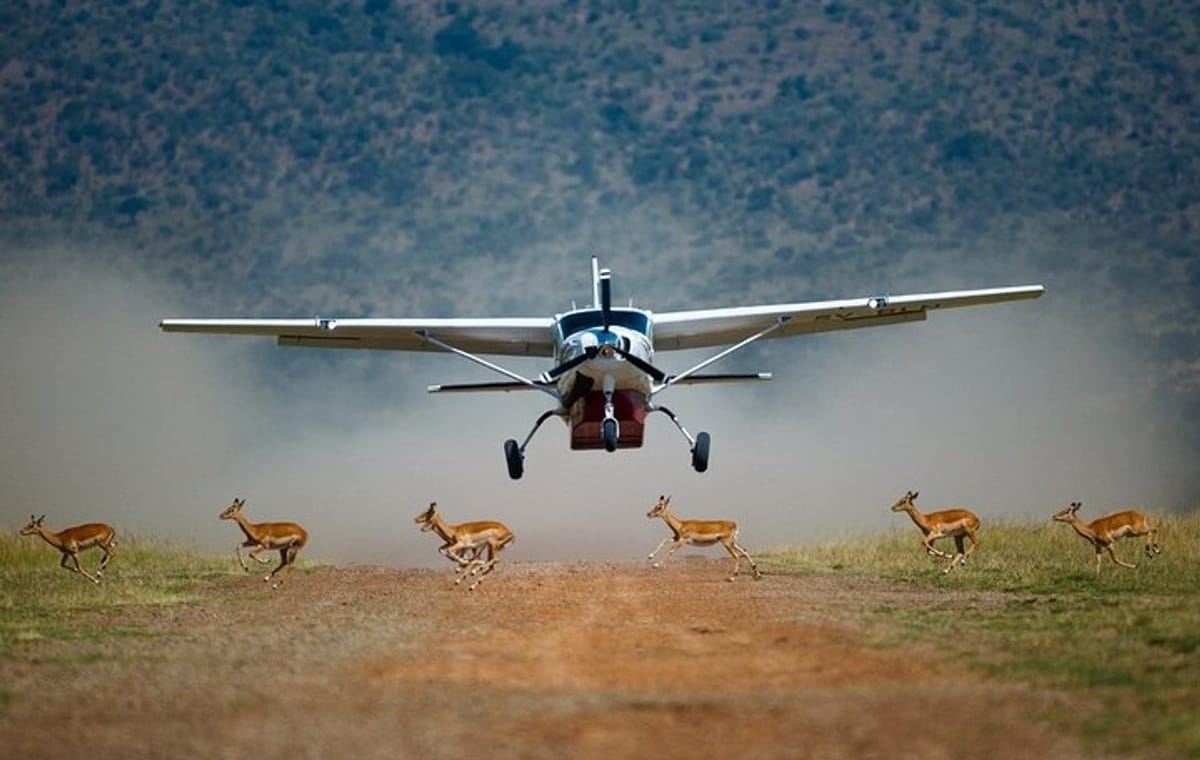 3-Day Masai Mara Private Flying Safari – 4 X 4 Game Drives