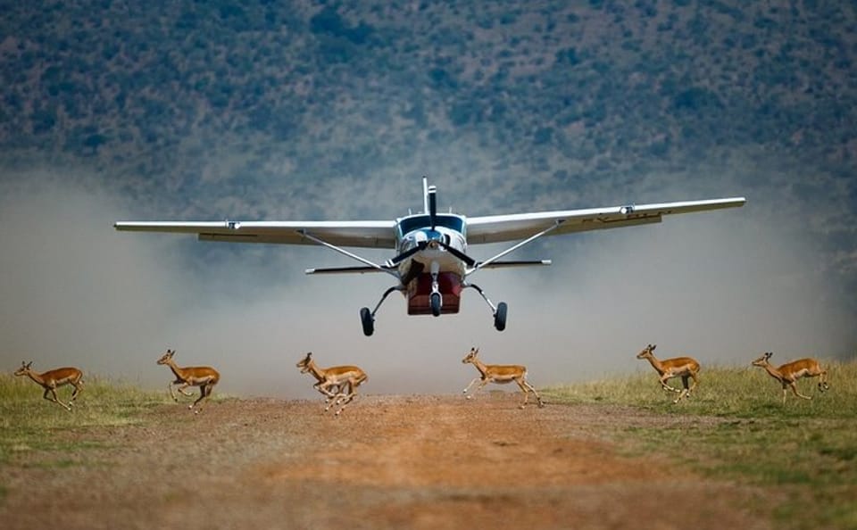 3-Day Private Flying Safari with Game Drives in Masai Mara