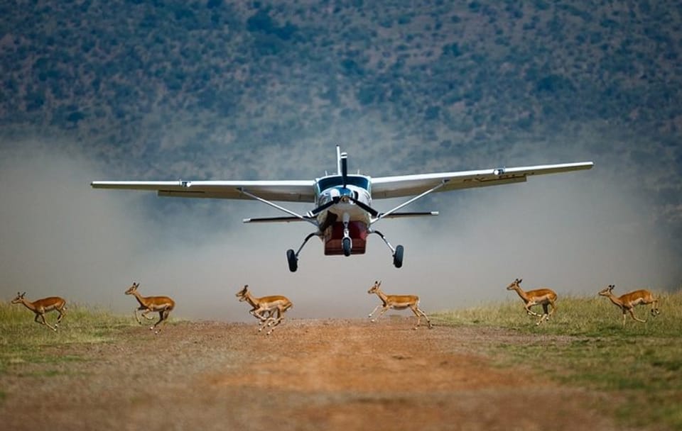 3-Day Private Flying Safari with Game Drives in Masai Mara