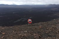 Lonely Tourists