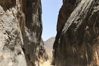Tour Balqees 12 Days Package (Oman North & South) 6