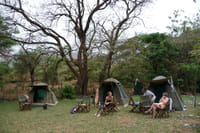 6Days Tanzania Tented Camping Safari : Serengeti, Lake Manyara,  Ngorongoro Crater &  Tarangire National Park 8