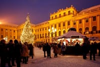 Full Day Private Vienna Christmas Market Tour from Budapest with Lunch 3