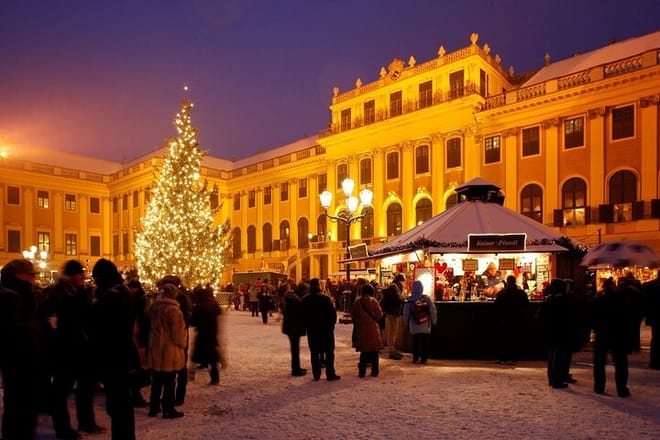 Full Day Private Vienna Christmas Market Tour from Budapest with Lunch 3