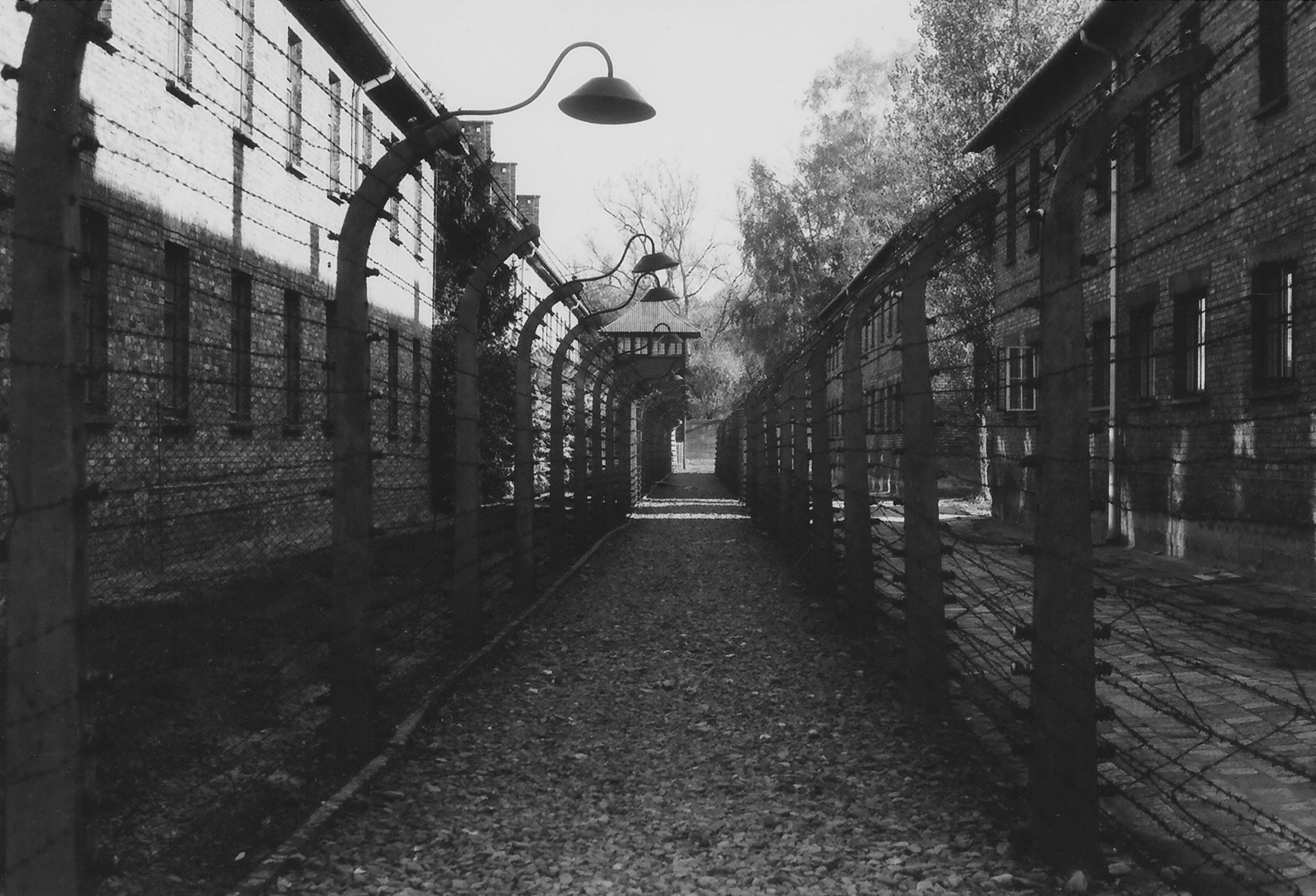 Barbed wire fence along the perimeter of Auschwitz-Birkenau Memorial