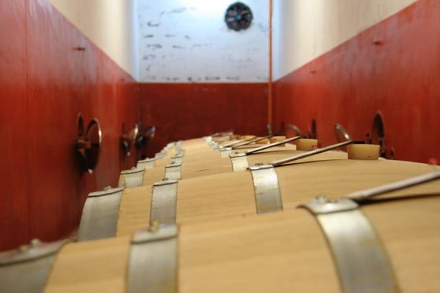 Visita la cantina Roveri e degusta i suoi vini photo 3