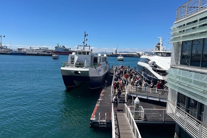 Robben Island Museum Ticket Ferry Half Day Tour