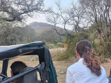 Wildlife Safari Tour from Delhi to Sariska National Park