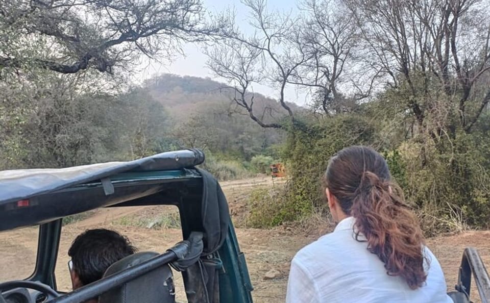 Wildlife Safari Tour from Delhi to Sariska National Park