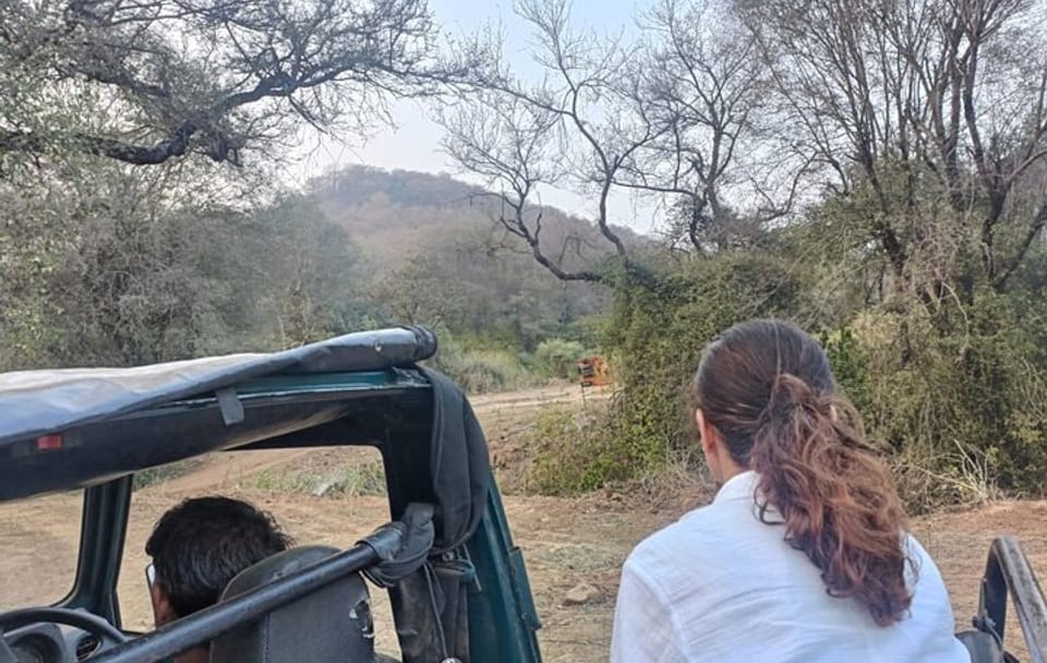 Wildlife Safari Tour from Delhi to Sariska National Park