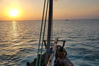 Zanzibar Mnemba Island Dolphin and Snorkeling Tour 7