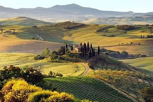 Tuscan Barbecue Party with Lunch and wine olive oil Tasting In Tuscany-Ultimate
