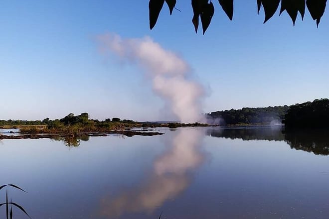 Jungle Wildlife Bike Tour to Iguazu National Park & Jaguar Road 4