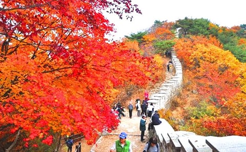 Private Hiking Tour of Bukhansan Mountain with Sauna in Seoul