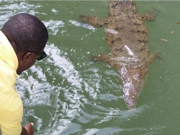 Full-Day Adventure Tour of YS Falls and Black River Safari in Jamaica