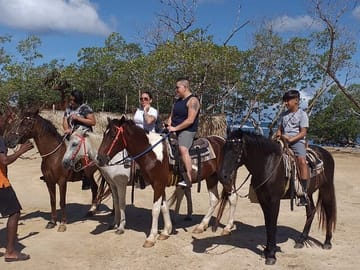 Roatan Horseback riding