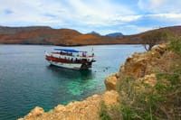Dubai : The Amazing Khasab Dolphin Watching Day Tour with Snorkeling & Lunch 8