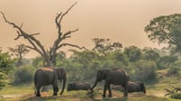  From Anuradhapura: Habarana Adventure Day Tour 8