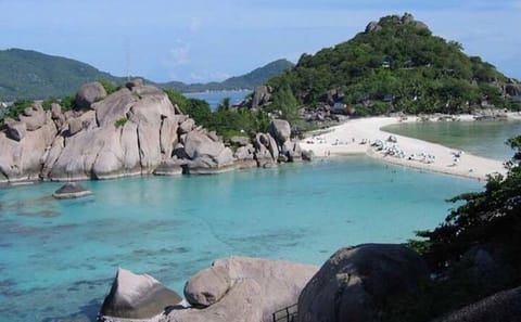 From Samui: Ko Tao and Koh Nang Yuan Speedboat Day Trip