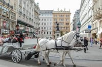 Full-Day Imperial Vienna Tour from Budapest with Hotel Pickup 1