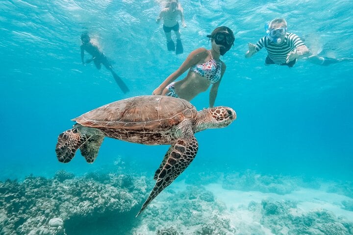 Grand Cayman Stingray City and Snorkeling with Beach Lunch 2