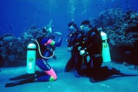 Diving and Snorkeling Day Trip By VIP Boat From Hurghada 6