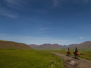 Pleasure in every hoof step, photo 14
