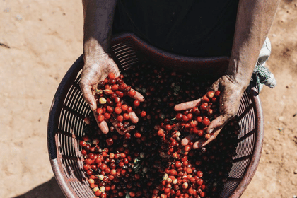 Costa Rica – Best of Costa Rica 4 Days