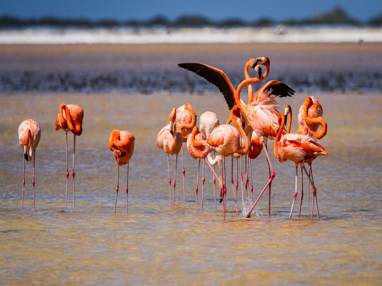 South Highlight Tour with Local Guide