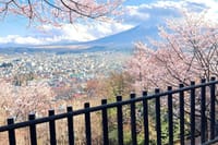 Mt. Fuji,Saiko Iyashi-no-Sato Nenba&Kawaguchi Lake 8