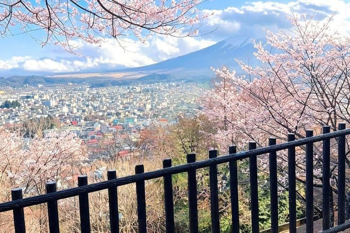 Mt. Fuji,Saiko Iyashi-no-Sato Nenba&Kawaguchi Lake 8