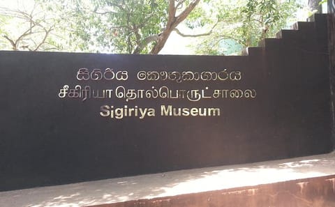 Sigiriya Rock Fortress and Dambulla Cave Temple Tour