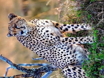 3-Day Masai Mara and Naivasha Hell’s Gate National Park-Safari
