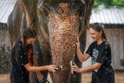 Phuket: Feed & Shower Experience