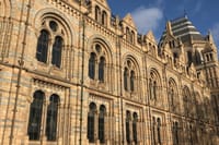 A Day at the Museum - Natural History Museum London 4