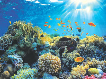 Galle Eco and Adventure Tour: Nature and Culture Experience